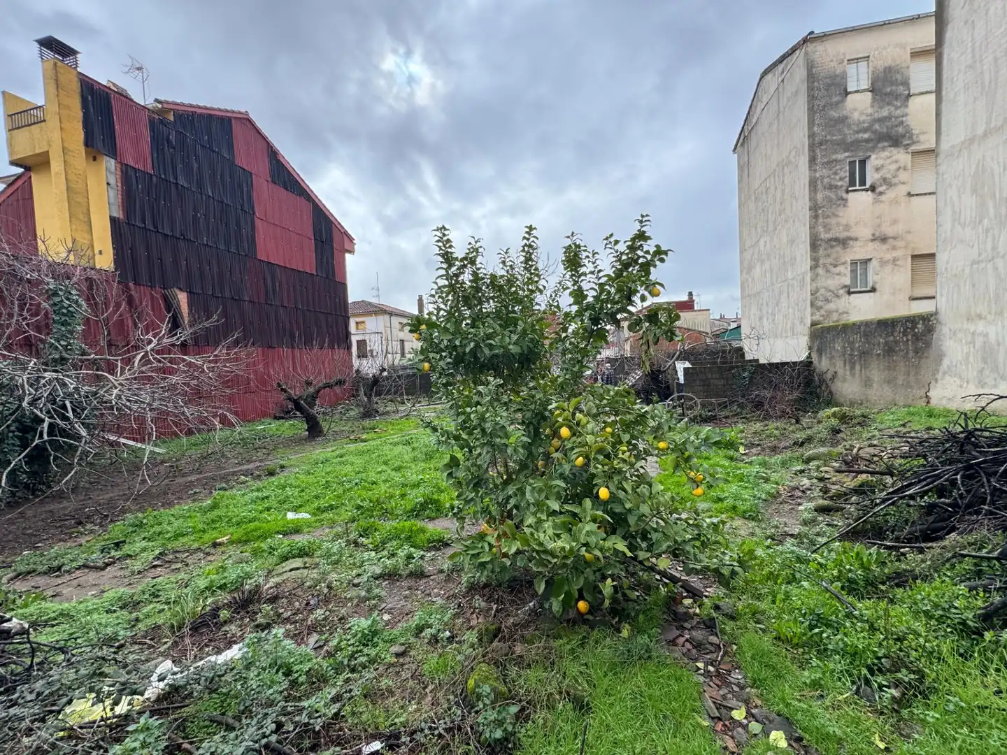 Terreni e lotti in vendita a Candeleda, imagen 7
