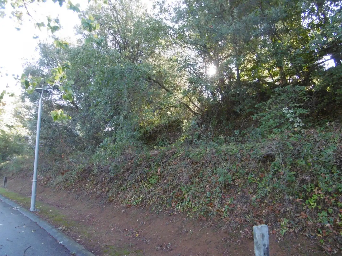 Terreno residencial en venta en 36 #parcela 36, imagen 3