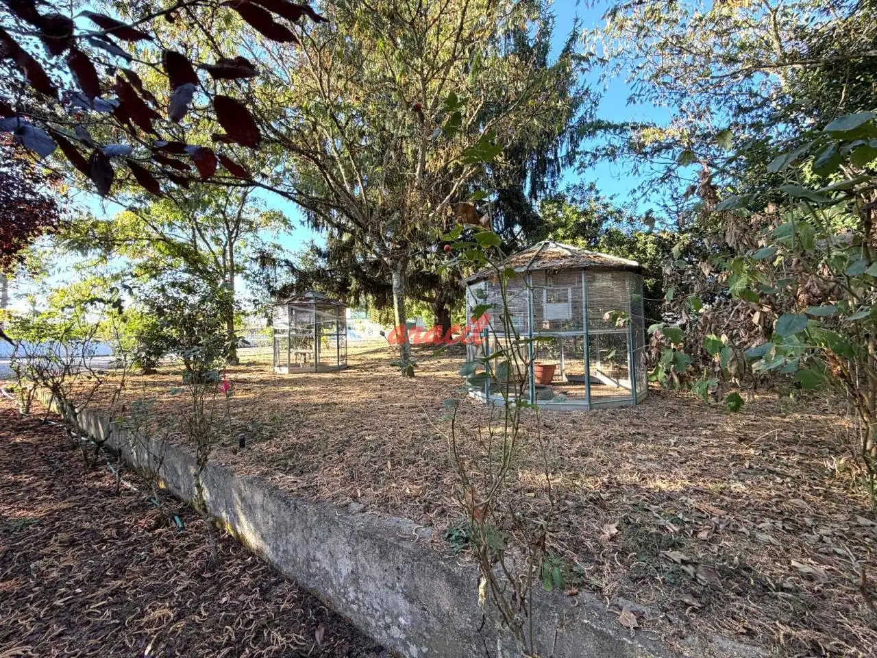 Chalet con piscina en venta en Coles, imagen 12