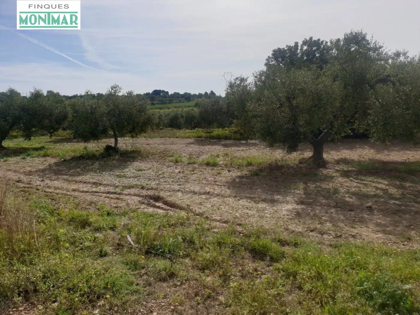 Maison rustique à vendre à La Secuita, imagen 4
