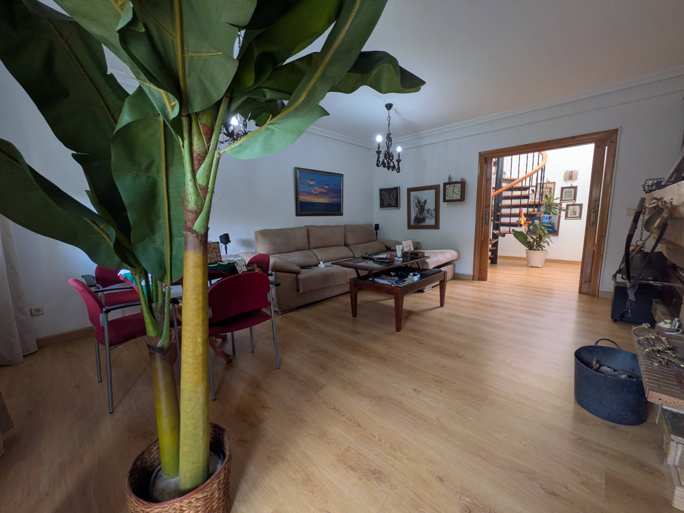 Sala de estar de Casa o chalet en venta en Cartagena con Parquet y Terraza