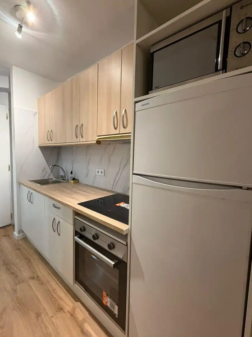 Cuina de Estudi de lloguer en Rincón de la Victoria amb Aire condicionat, Jardí privat i Moblat