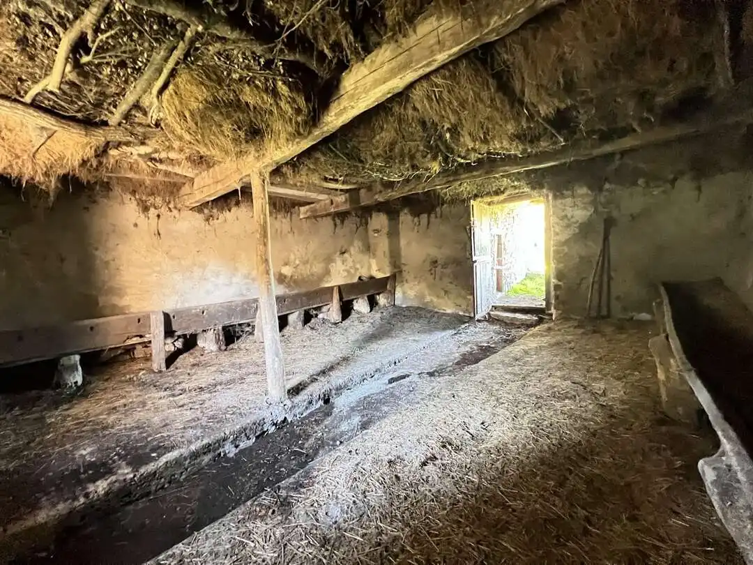 Maison à vendre à Nava, imagen 9