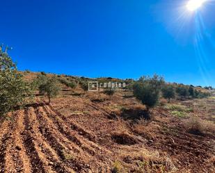 Industrial land for sale in Almogía