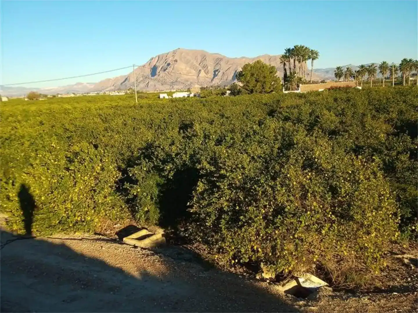Terreno en venta en Orihuela