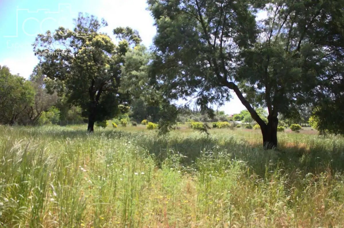 Finca rústica en venda en Almonte amb Traster i Moblat