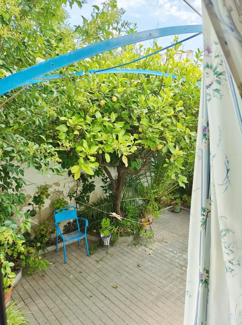 Maison à vendre à Jijona / Xixona, imagen 28