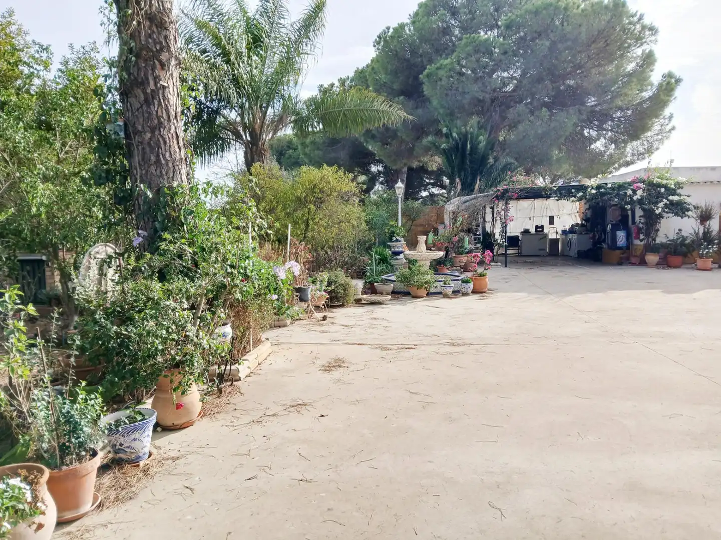Casa rústica amb jardí en venda a Bonares, imagen 6