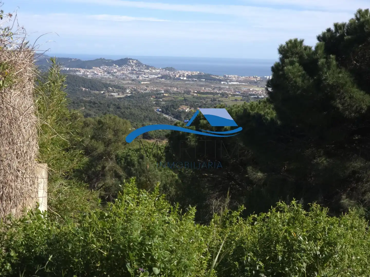 Lands and plots for sale in Condor, imagen 5