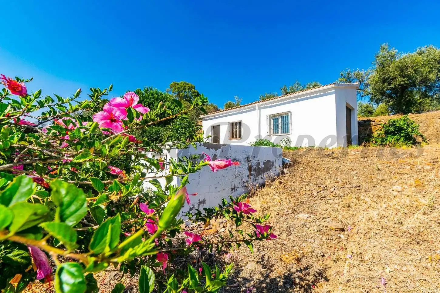 Casa con jardín en venta en Arenas