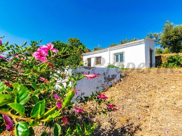 Casa con giardino in vendita a Arenas