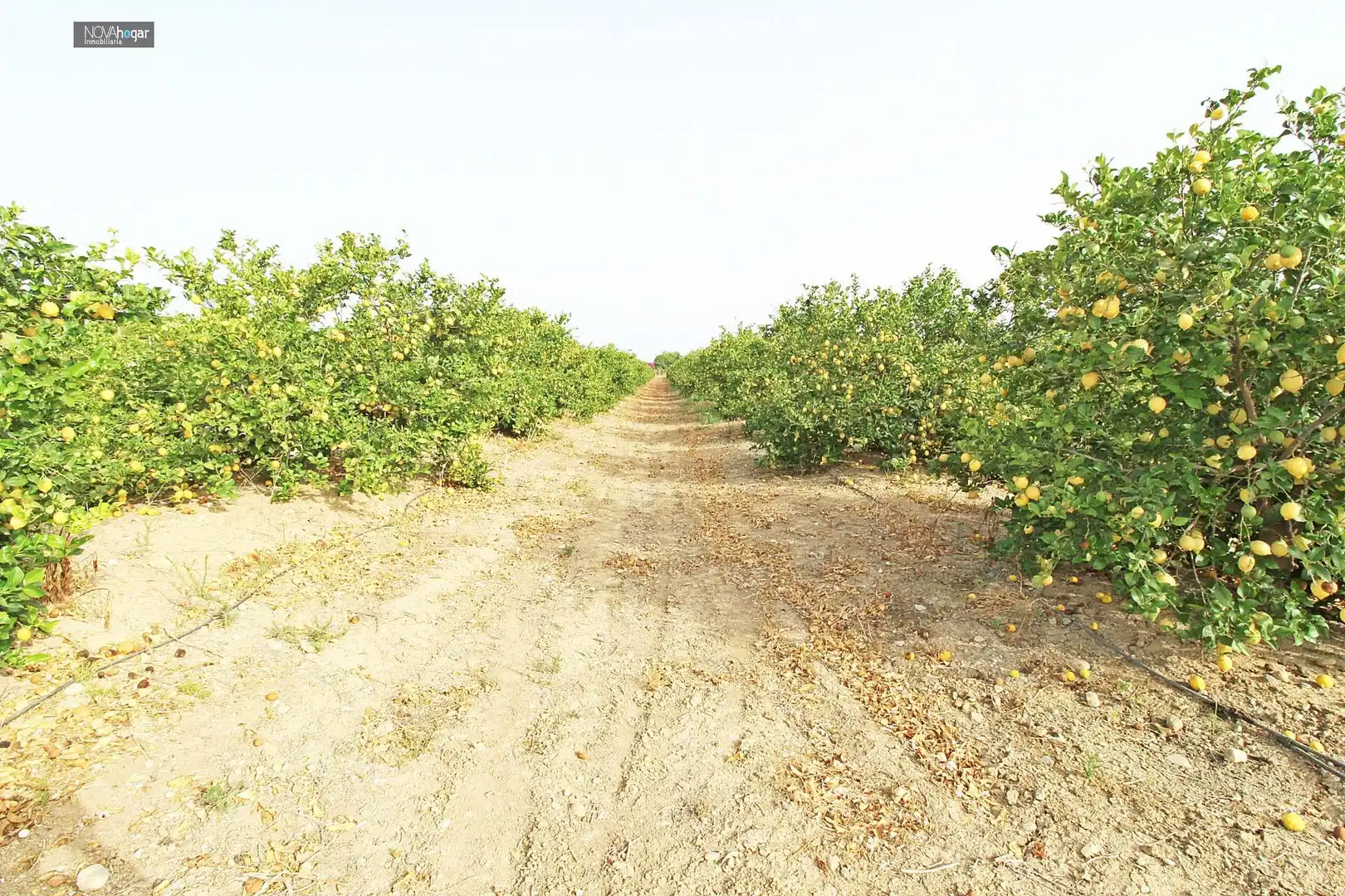 Finca rústica en venta en Málaga