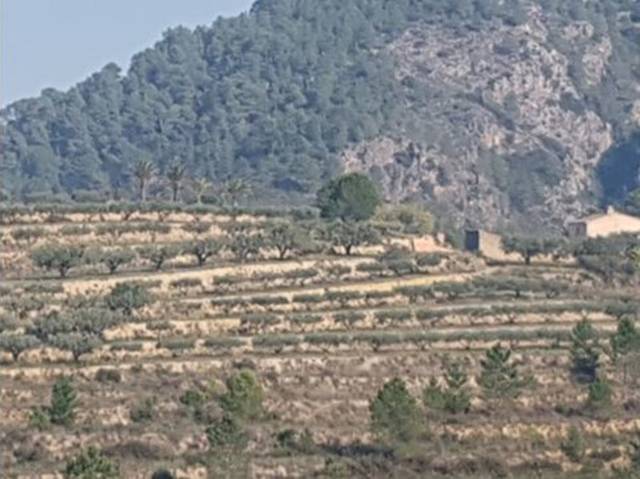 Terreno residencial en Venta en Polígono 37 en Quatretonda