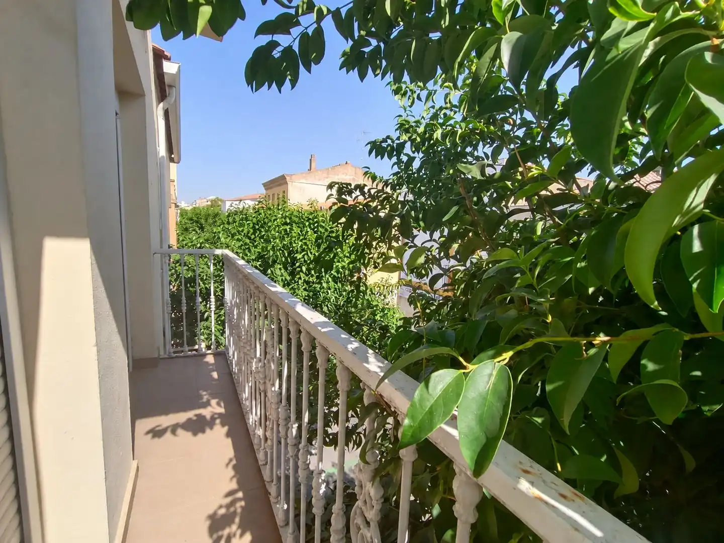 Maison à vendre à Centro, imagen 8