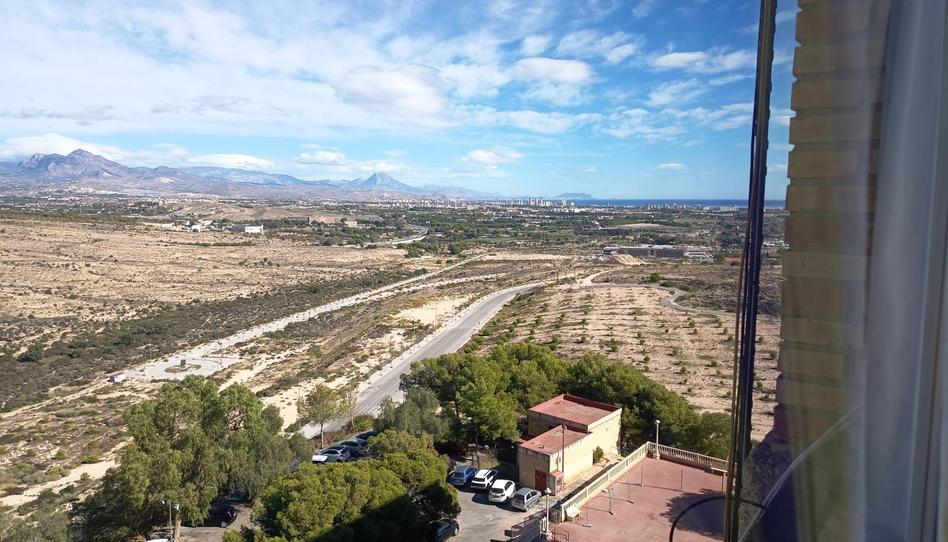 Foto 1 de Pis en venda a Calle del Pintor Pedro Camacho, Juan XXIII, Alicante