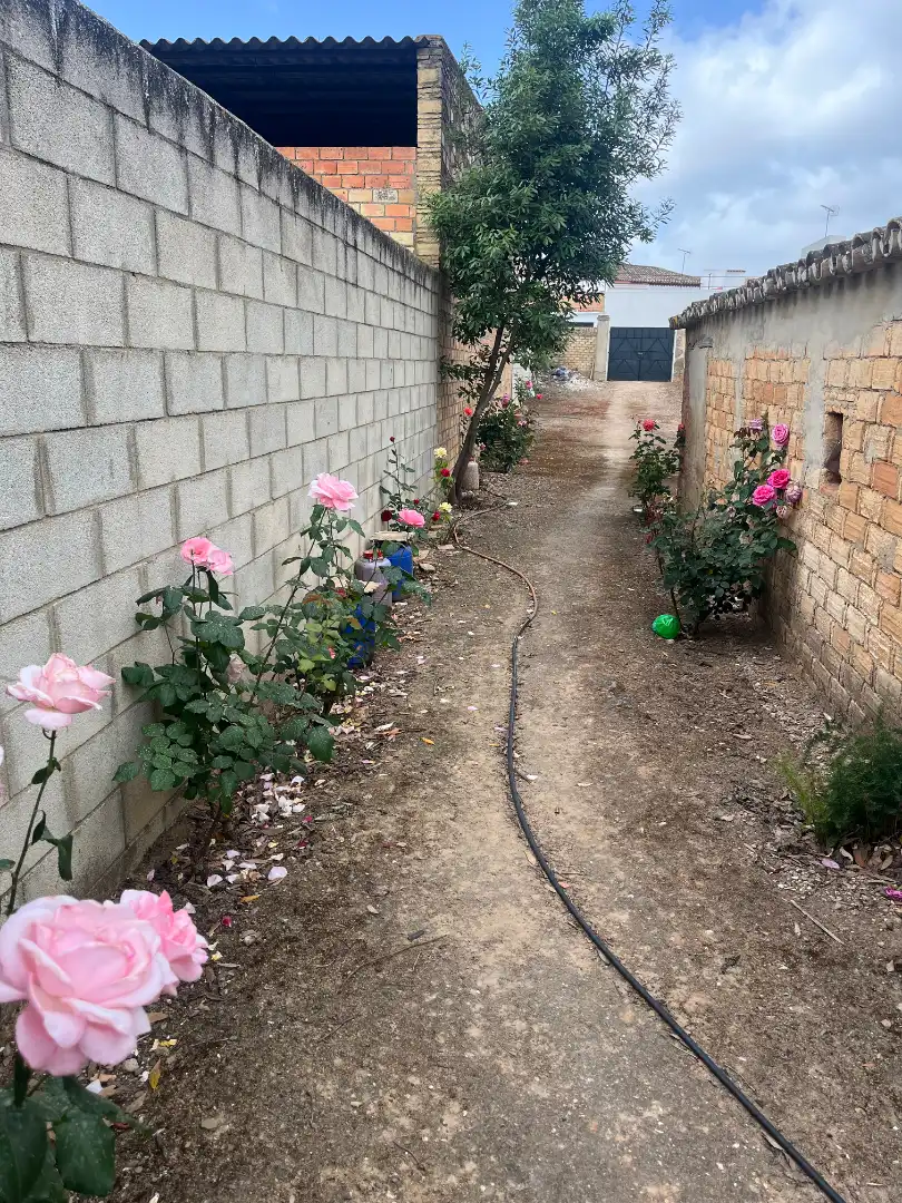 Jardín de Casa adosada en venta en Olivares con Aire acondicionado, Calefacción y Jardín privado
