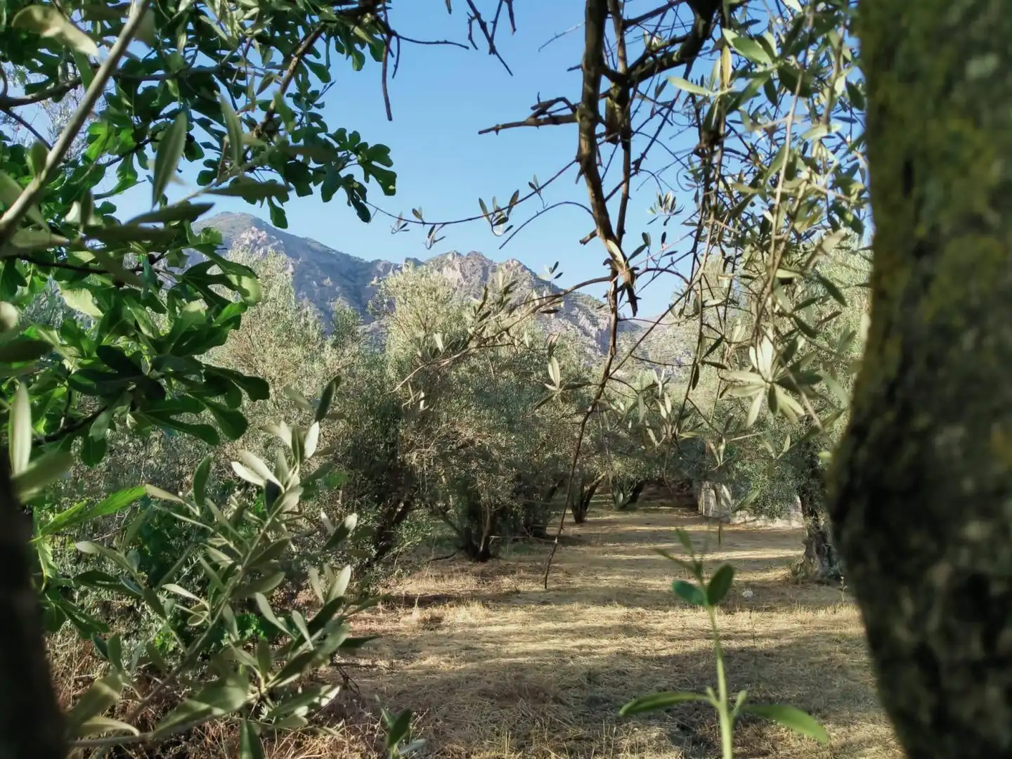 Residencial en venda a Nigüelas