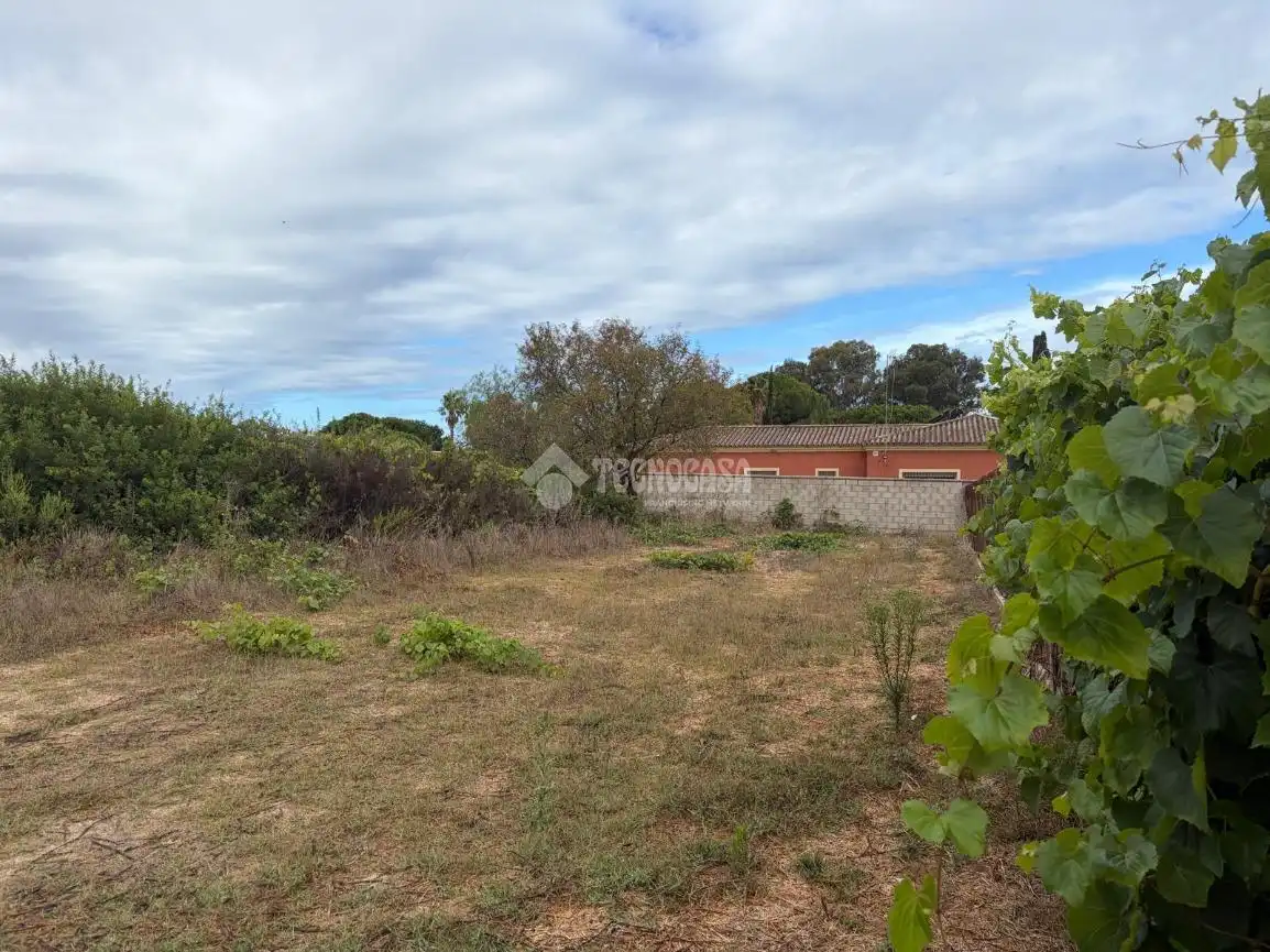 Rural land for sale in Las Lagunas - Campano, imagen 7