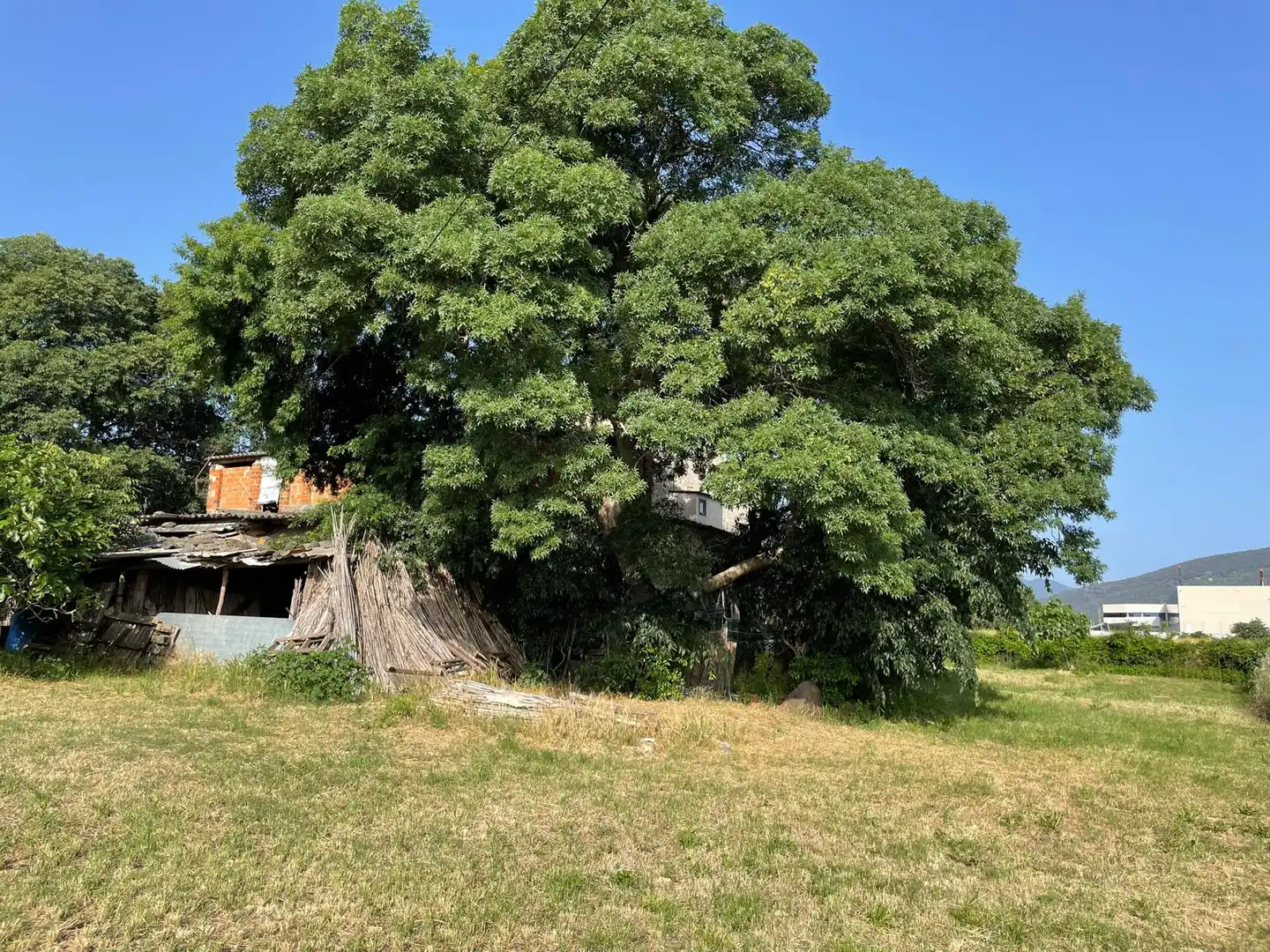 Casa rustica con giardino in vendita a Sant Jaume de Llierca, imagen 17