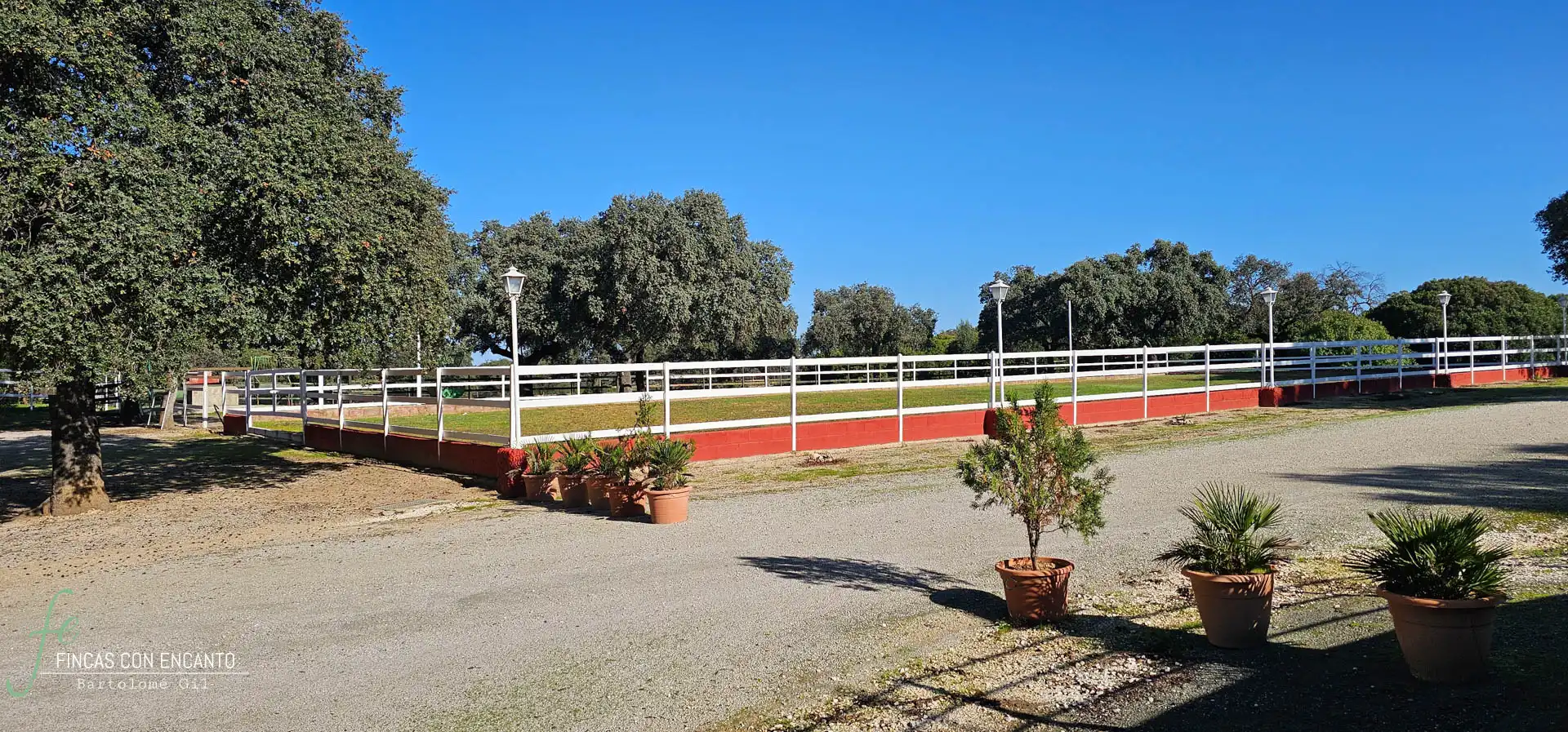 Vista exterior de Finca rústica en venda en Morón de la Frontera amb Jardí privat, Terrassa i Piscina
