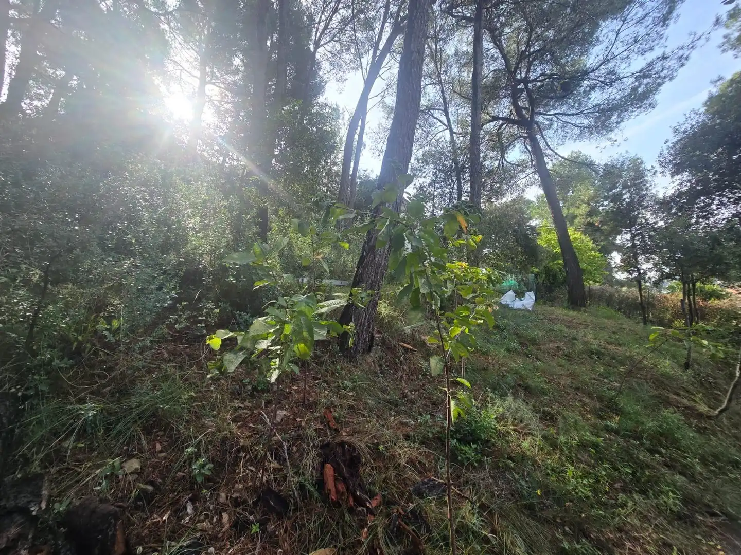 Lands and plots for sale in Airesol, imagen 13