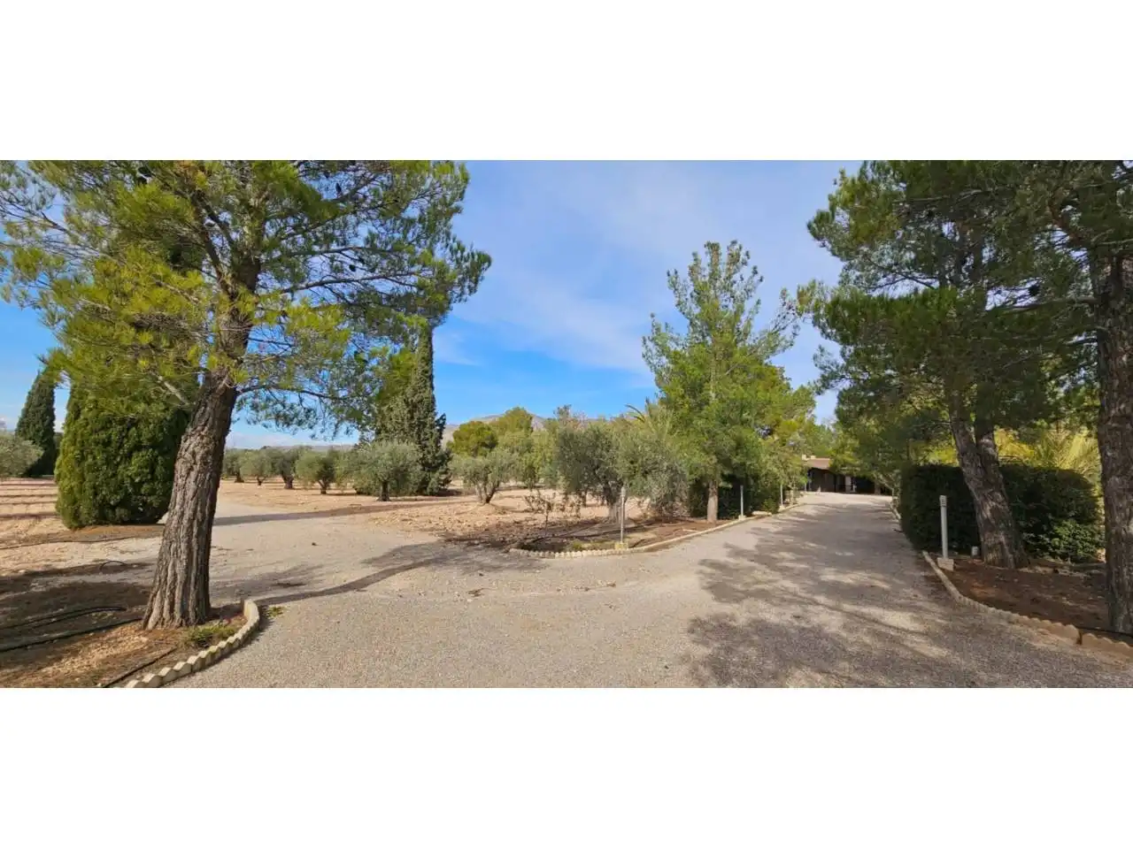 Chalet con piscina en venta en Jumilla, imagen 68
