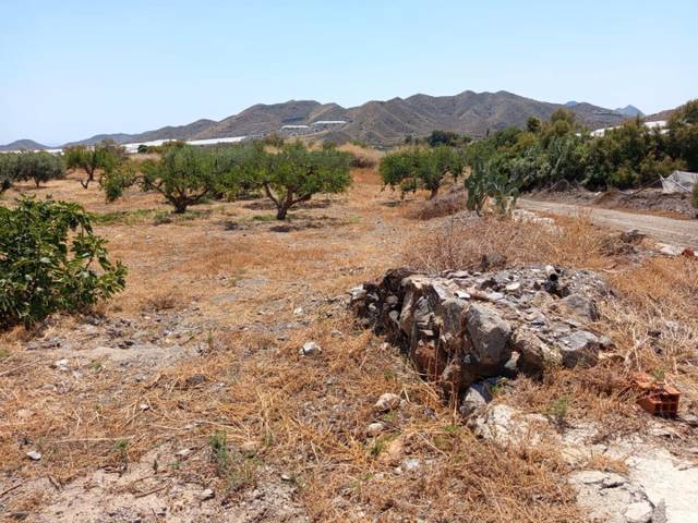 Terreno en Alquiler en Diseminado el Charcon, 21 en Tébar - Los Arejos