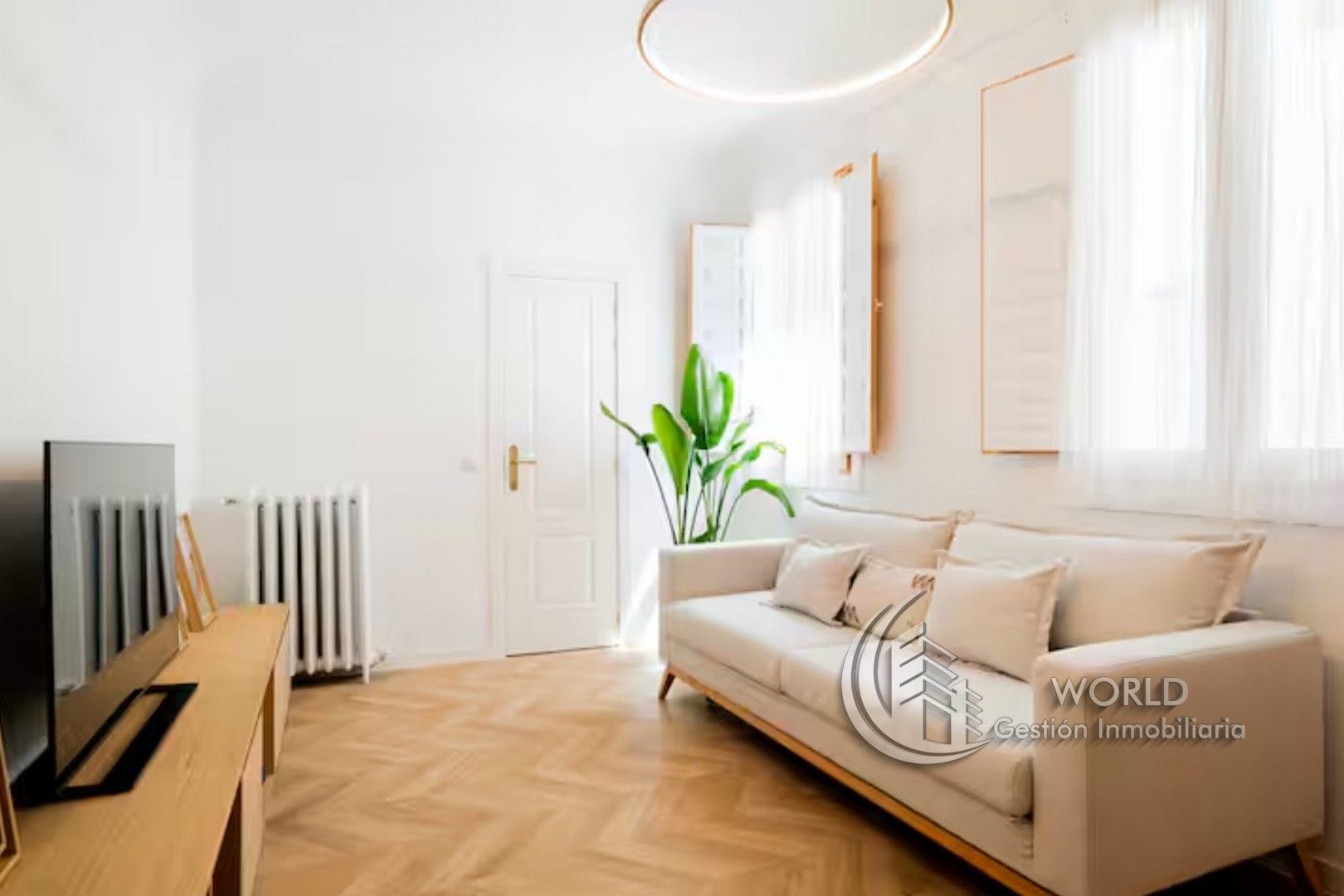 Living room of Flat for sale in  Madrid Capital  with Air Conditioner, Heating and Furnished