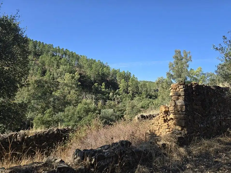 Terreni e lotti in vendita a Pedanías de Badajoz, imagen 5