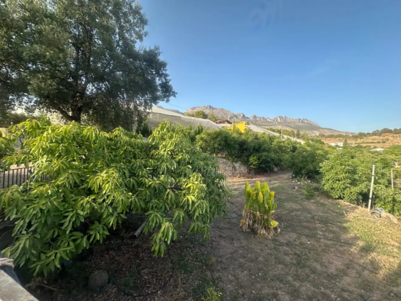 Finca rústica en venta en Callosa d'en Sarrià con Jardín privado, Terraza y Trastero