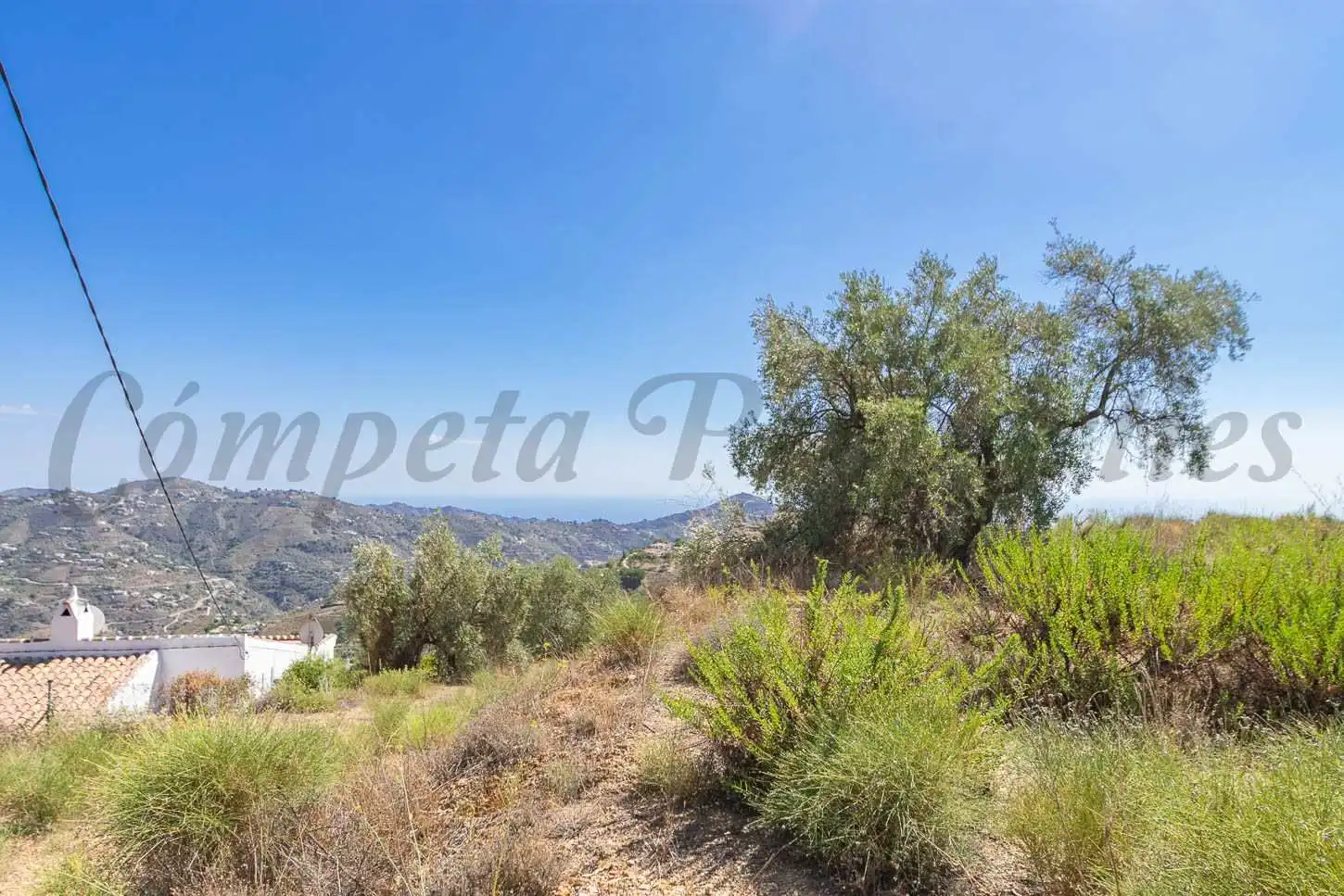 Terreny rústic en venda a Canillas de Albaida, imagen 6