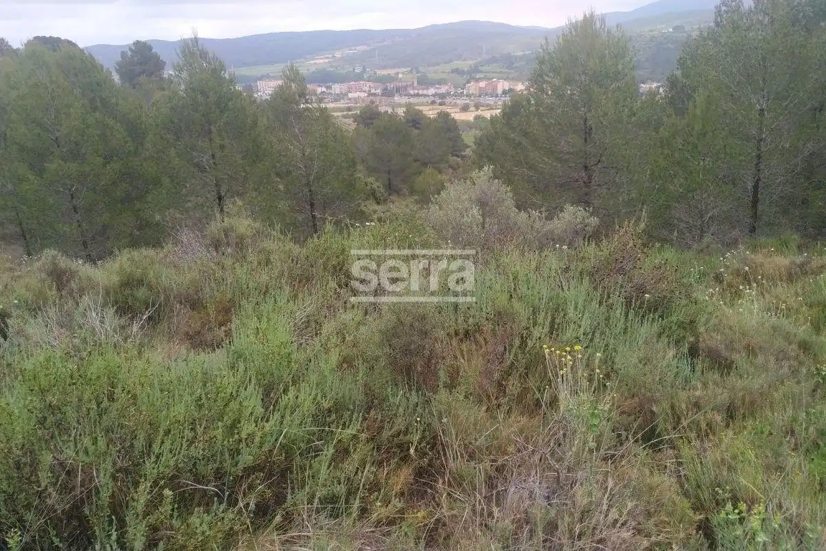 Land for sale in Torrelles de Foix