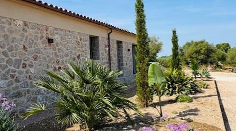 Finca cerca de Manacor, imatge 5