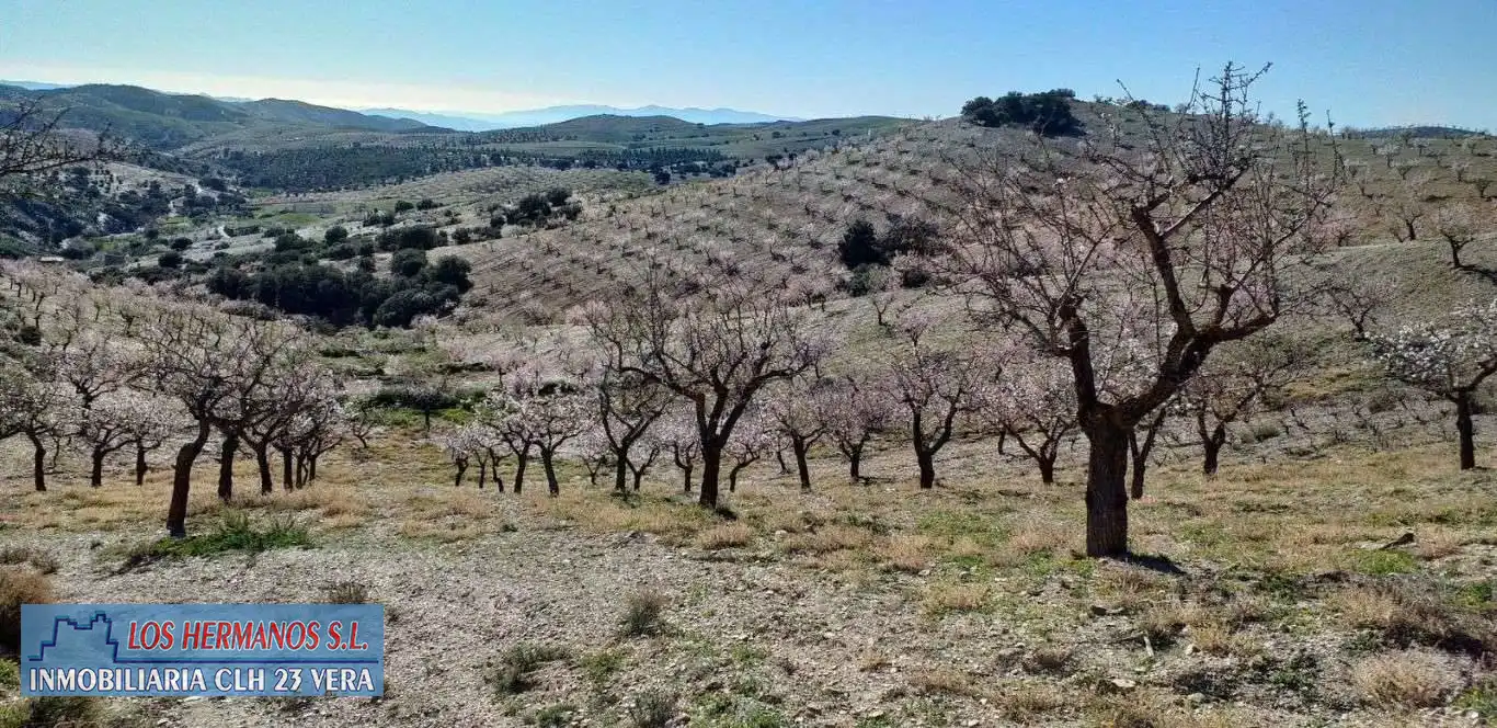 Finca rústica en venta en Vélez-Rubio