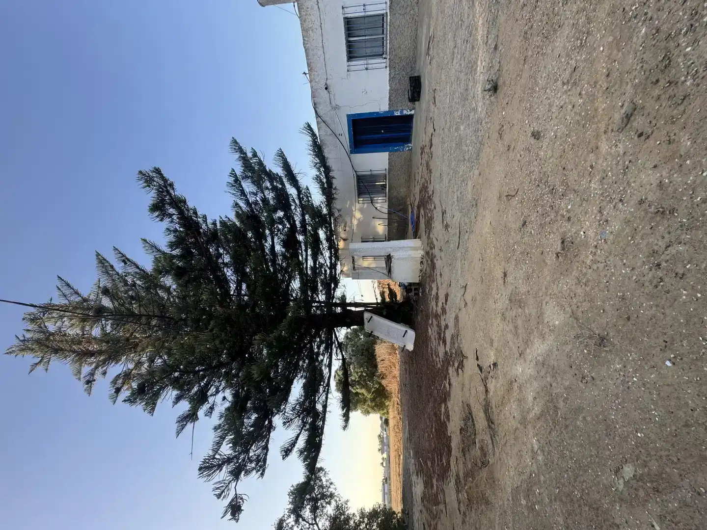 Vista exterior de Casa o xalet en venda en Conil de la Frontera