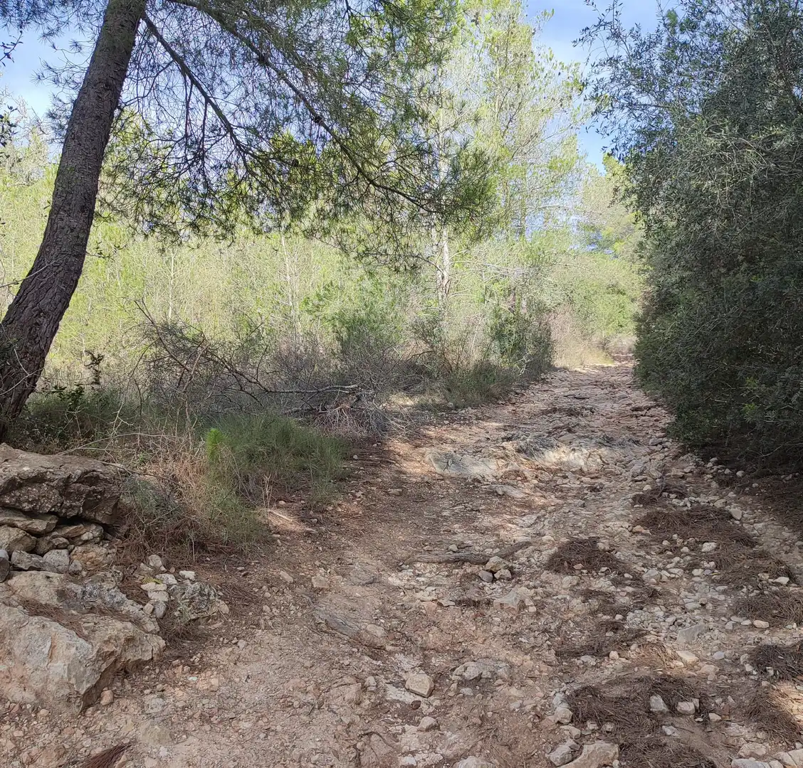 Rural land for sale in Sant Joan, imagen 4