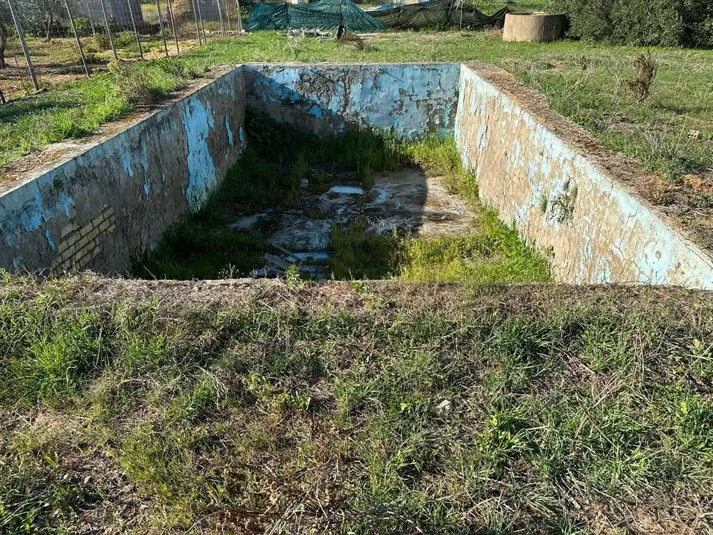 Terreny rústic en venda a Pedanías Norte, imagen 4
