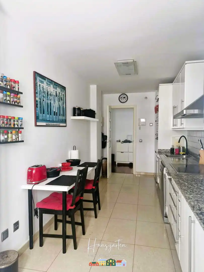 Kitchen of Flat for rent in Las Palmas de Gran Canaria  with Heating, Furnished and Pets allowed