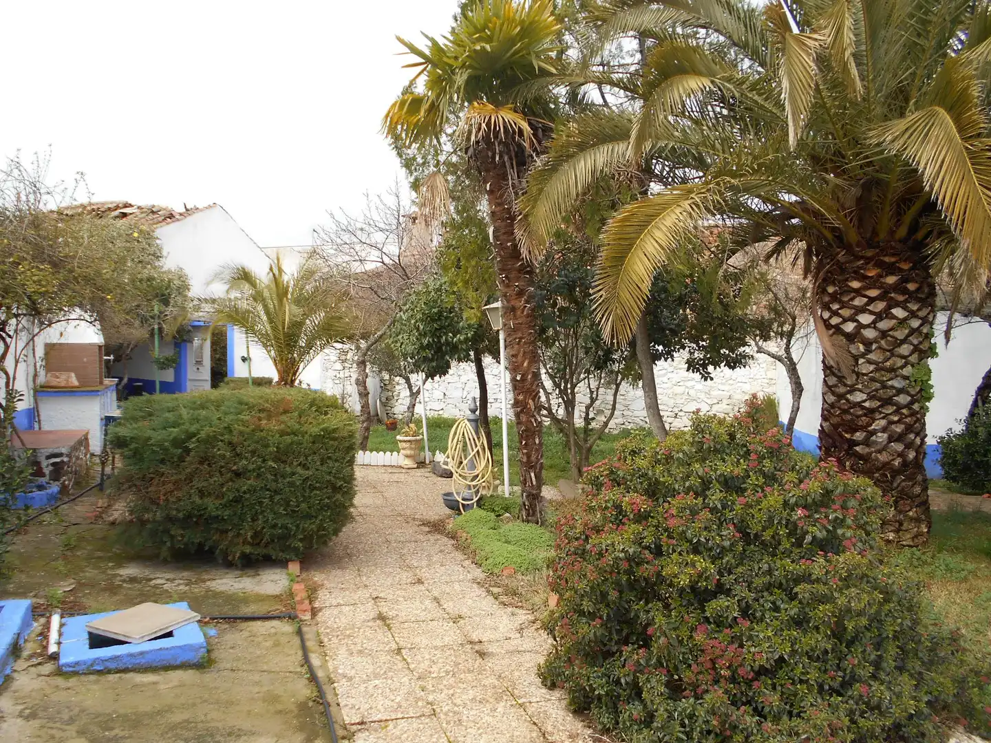 Jardín de Casa adosada en venta en Brazatortas con Calefacción, Jardín privado y Piscina