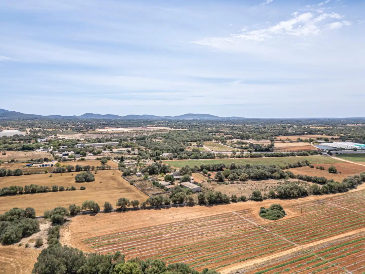 Terreno rustico in vendita a Felanitx Poble, imagen 12