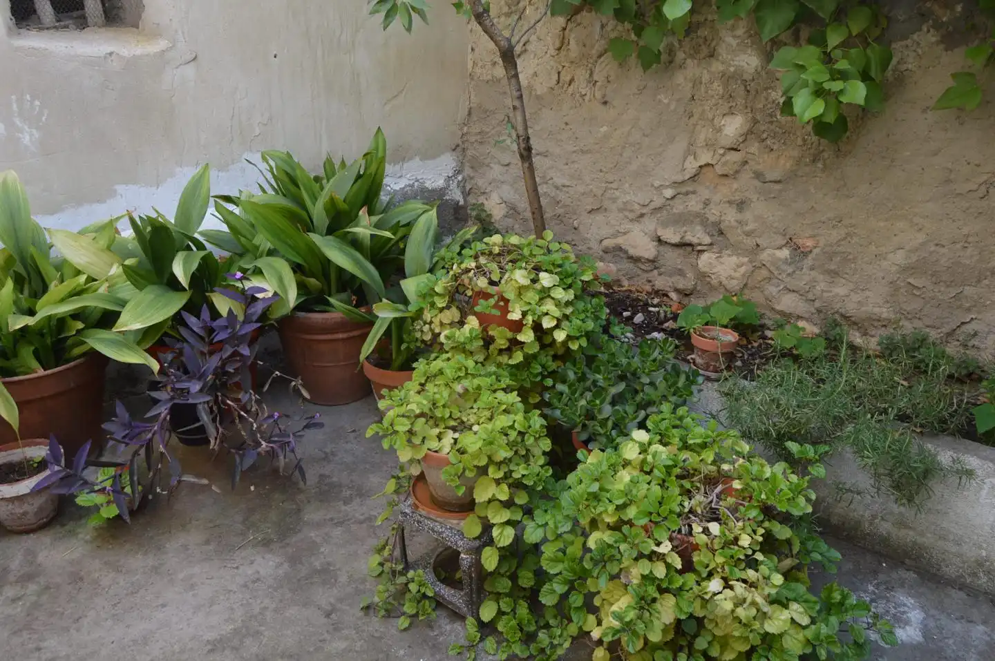 Garden of Houses for sale in Huete  with Furnished
