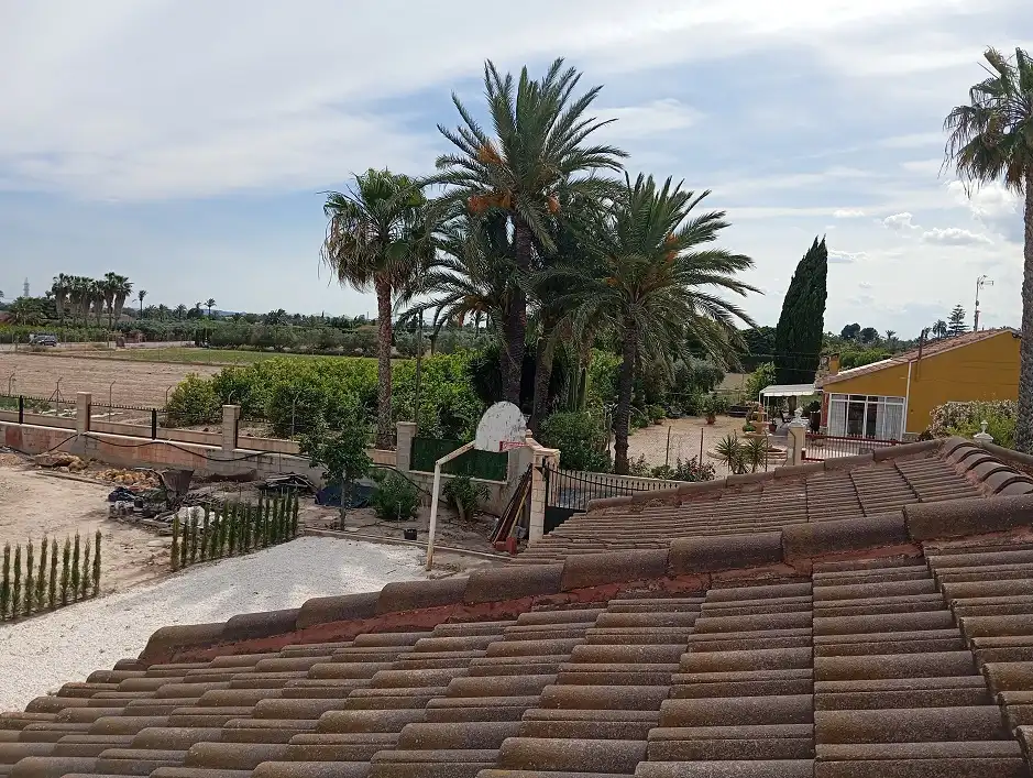 Jardín de Casa o chalet en venta en Elche / Elx con Jardín privado, Terraza y Piscina