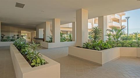 Foto 5 de Àtic de lloguer a Torrente Ballester, 5, Rodeo Alto - Guadaiza - La Campana, Marbella