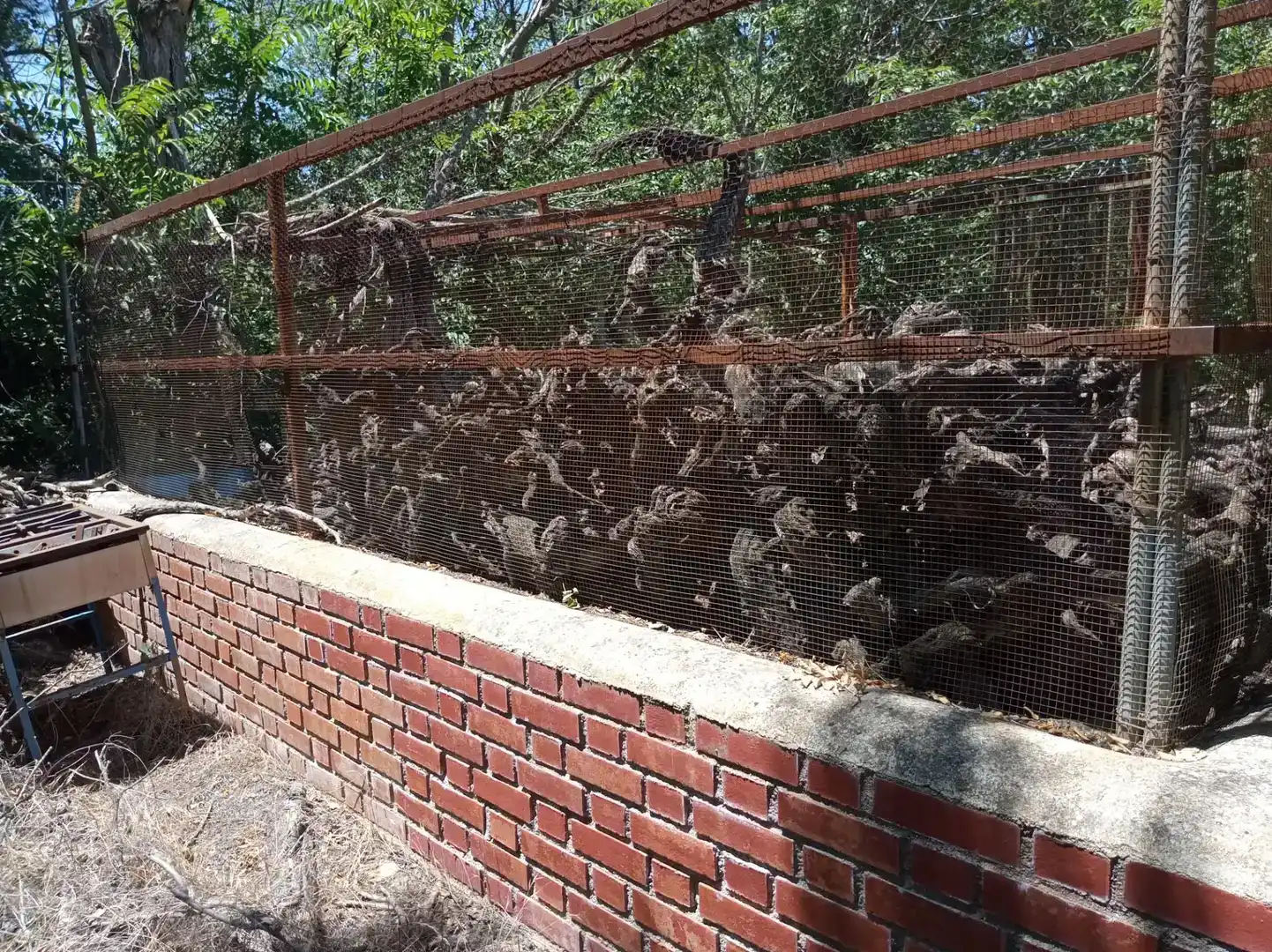 Vista exterior de Planta baixa en venda en Villafranca de los Caballeros amb Traster