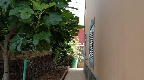 Foto 5 de Casa o chalet en venta en Calle el Mesón, Vega de San Mateo, Las Palmas