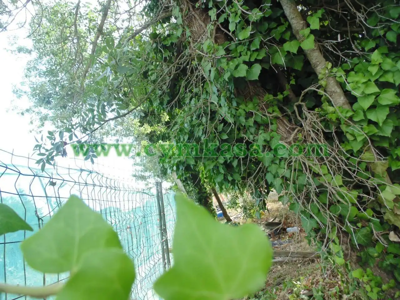 Terreno rustico in vendita a Terrabrava - Tordera Parc, imagen 3