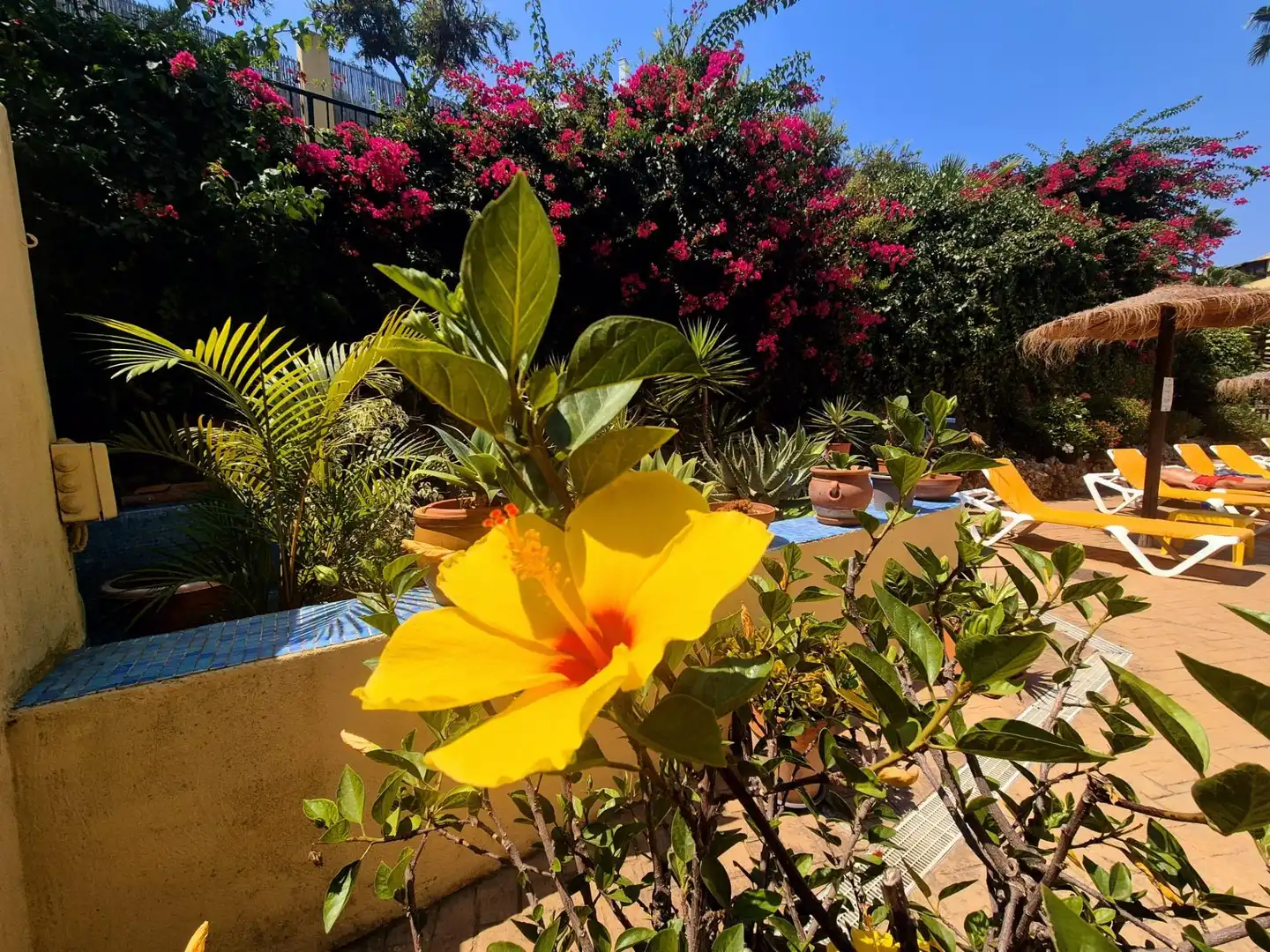 Garten von Dachboden zum Verkauf in Mijas mit Privatgarten, Terrasse und Gemeinschaftspool
