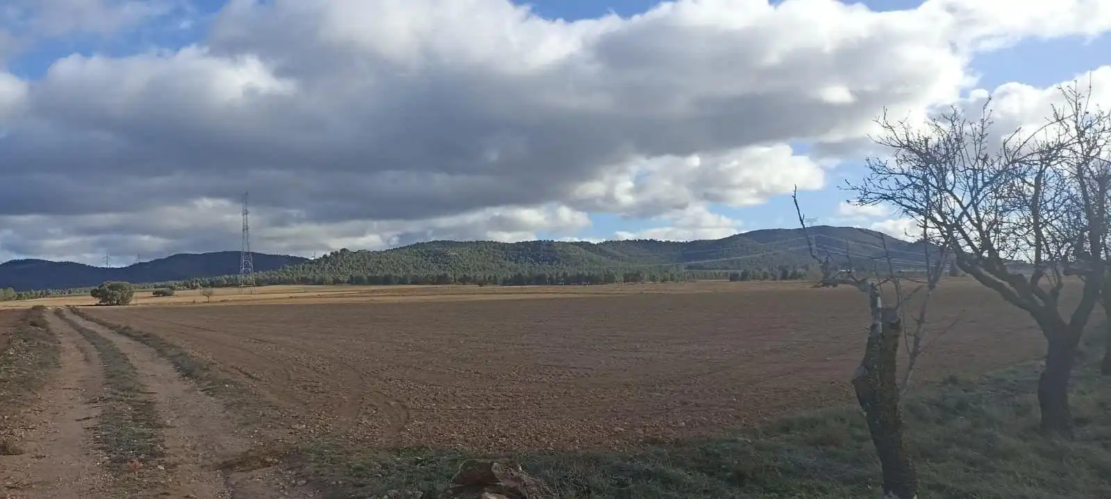 Terreny rústic en venda a Ayora, imagen 8
