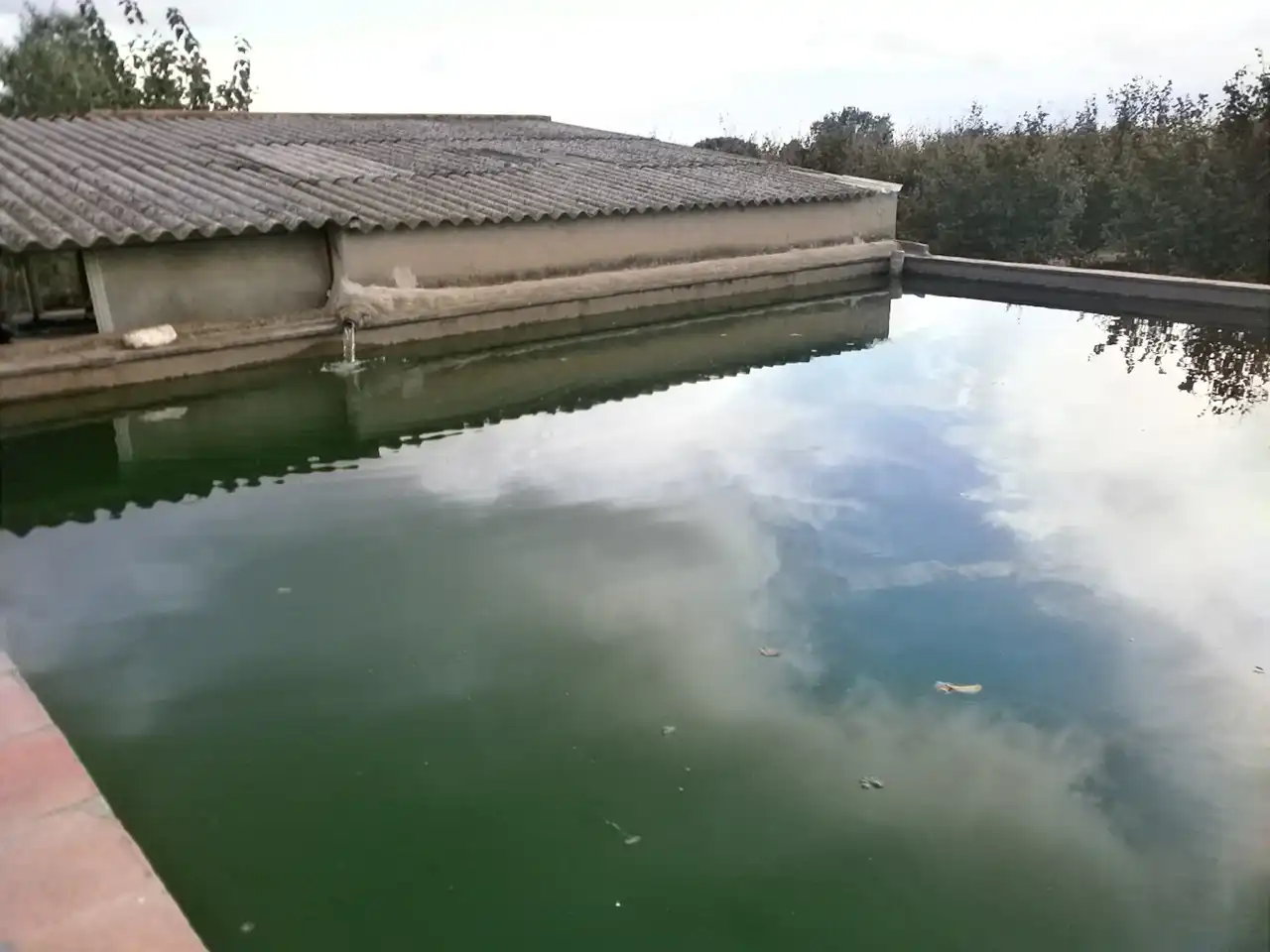 Rural land for sale in Carrer Pont del Cinto, imagen 15