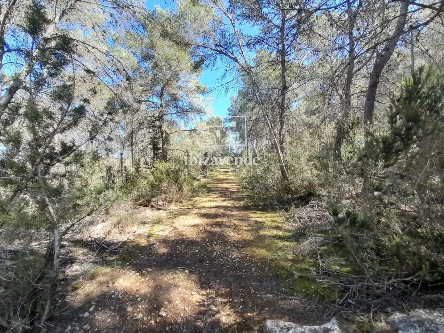 Terreny rústic en venda a es Pujolet, imagen 14